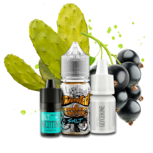 Twisted Desperado Cactus 30мл (Смородина з кактусом) | Набір для самозамісу (сольовий нікотин)