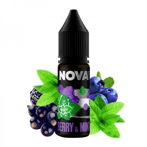 Nova Berry Mint 15мл (Ягоди з М'ятою) | Сольова рідина